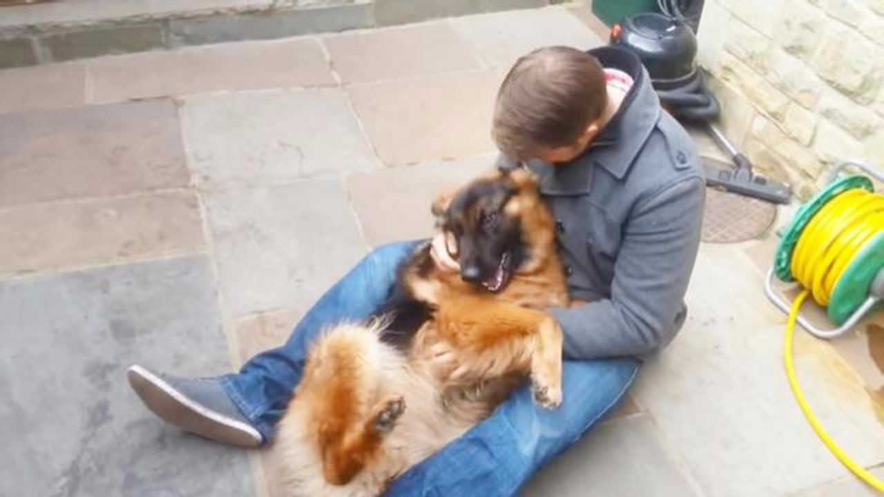 狗很激动,就差开口说话了为你推荐自动连播06:39这个狙击手每次出任务