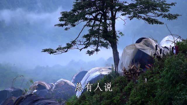 进山采竹笋了