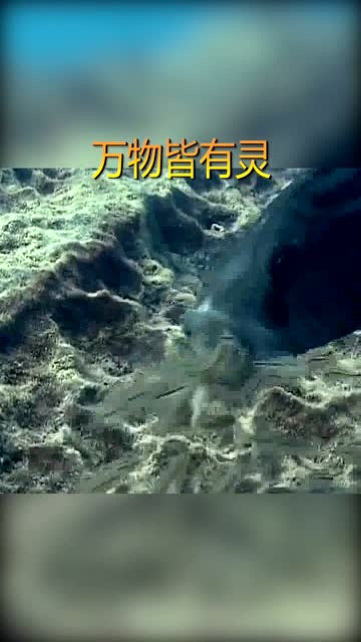 万物皆有灵,世上只有妈妈好,这句话在鱼这里也一样!