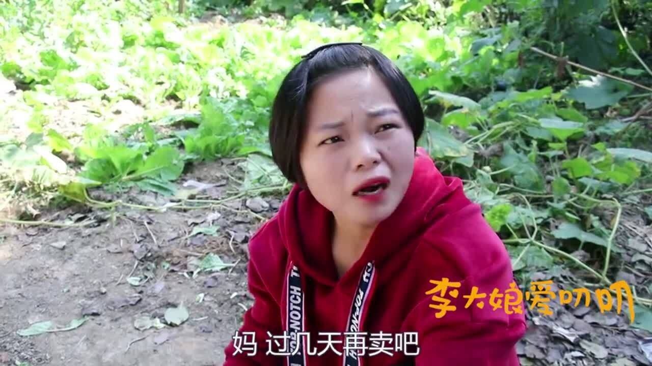 搞笑李大娘爱叨叨儿媳把卖玉米的钱弄丢了婆婆的做法喜人