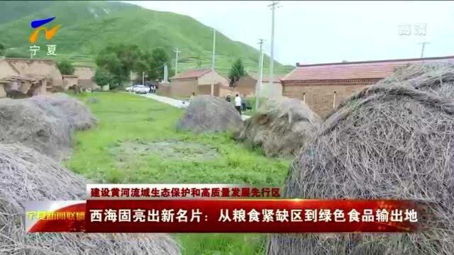 西海固亮出新名片:从粮食紧缺区到绿色食品输出地