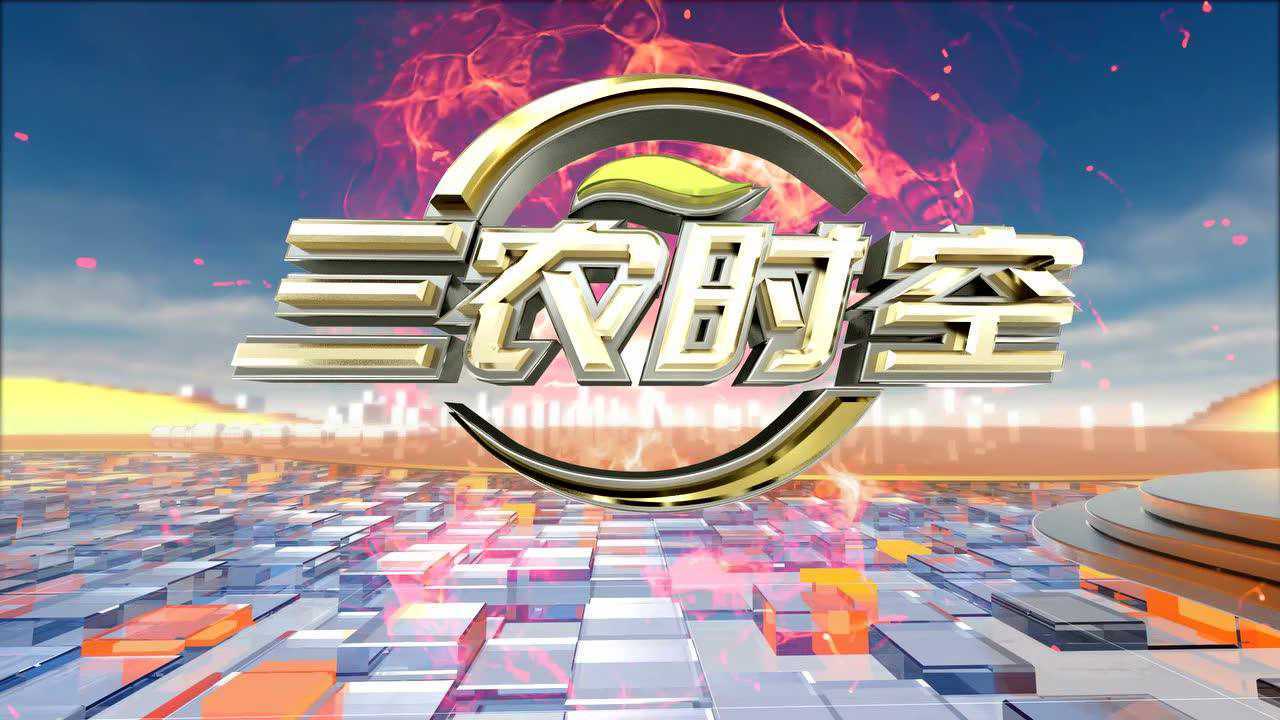 三农时空宣传