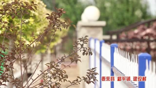 庆丰收 迎小康——泰来县建设村