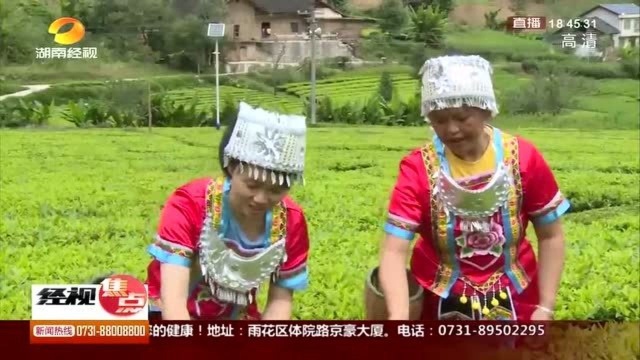 大美湖南:壶瓶山文化美景新搭配 吸引游客