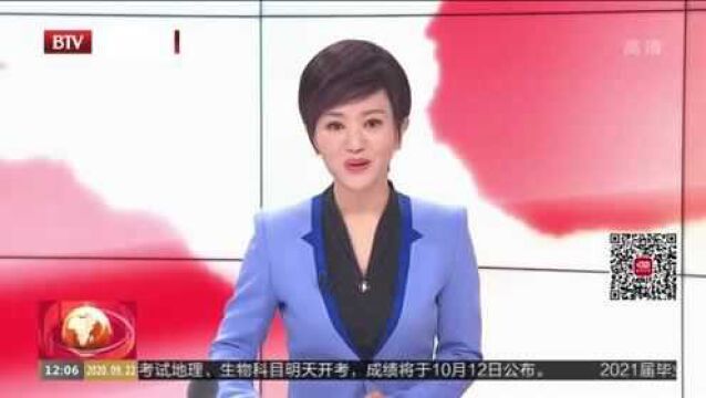 2020北京国际设计周开幕