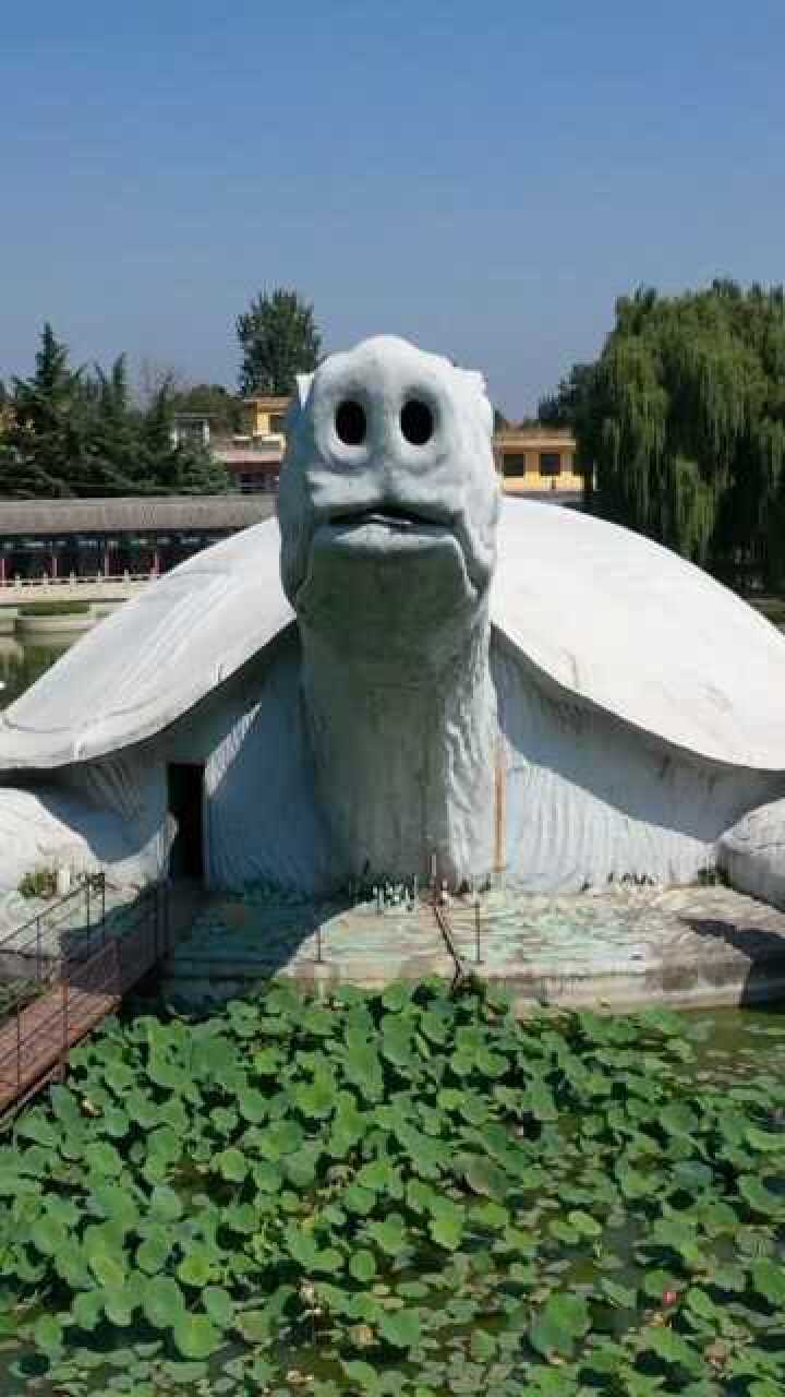 河北平山巨龟苑,中国最大的乌龟雕塑!