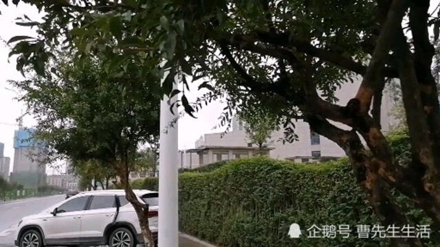 没想到这里成了温江价格最牛的楼盘之一,不过位置是真好