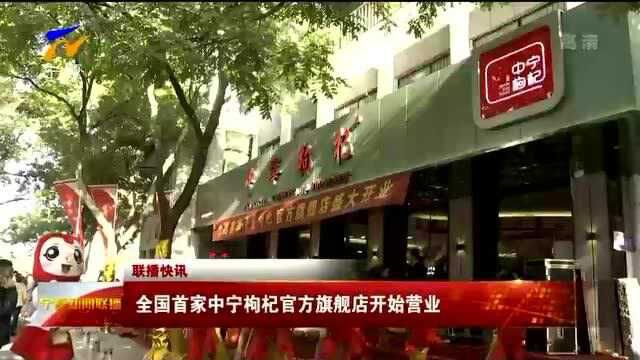 全国首家中宁枸杞官方旗舰店开始营业