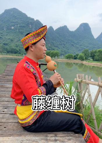 刘三姐山歌藤缠树