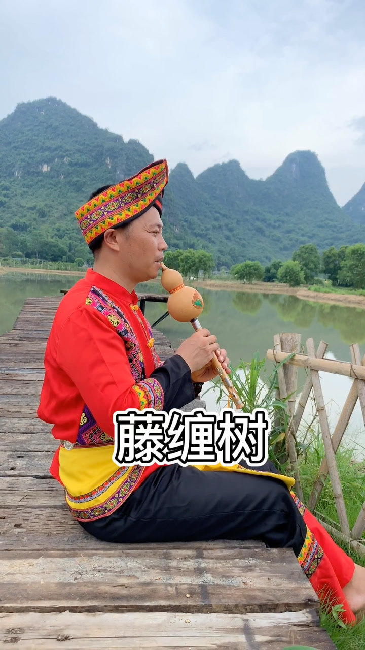 刘三姐山歌藤缠树_腾讯视频