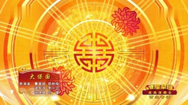 戏曲《大保国》表演:曹普超 胡林焕等