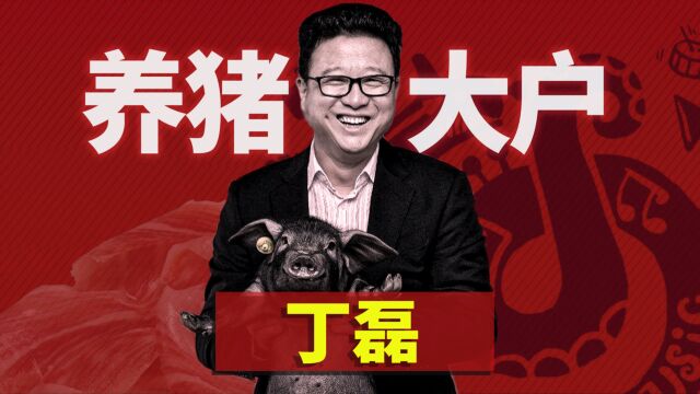 32岁就当首富, 后来跑去养猪,网易创始人丁磊的致富之路