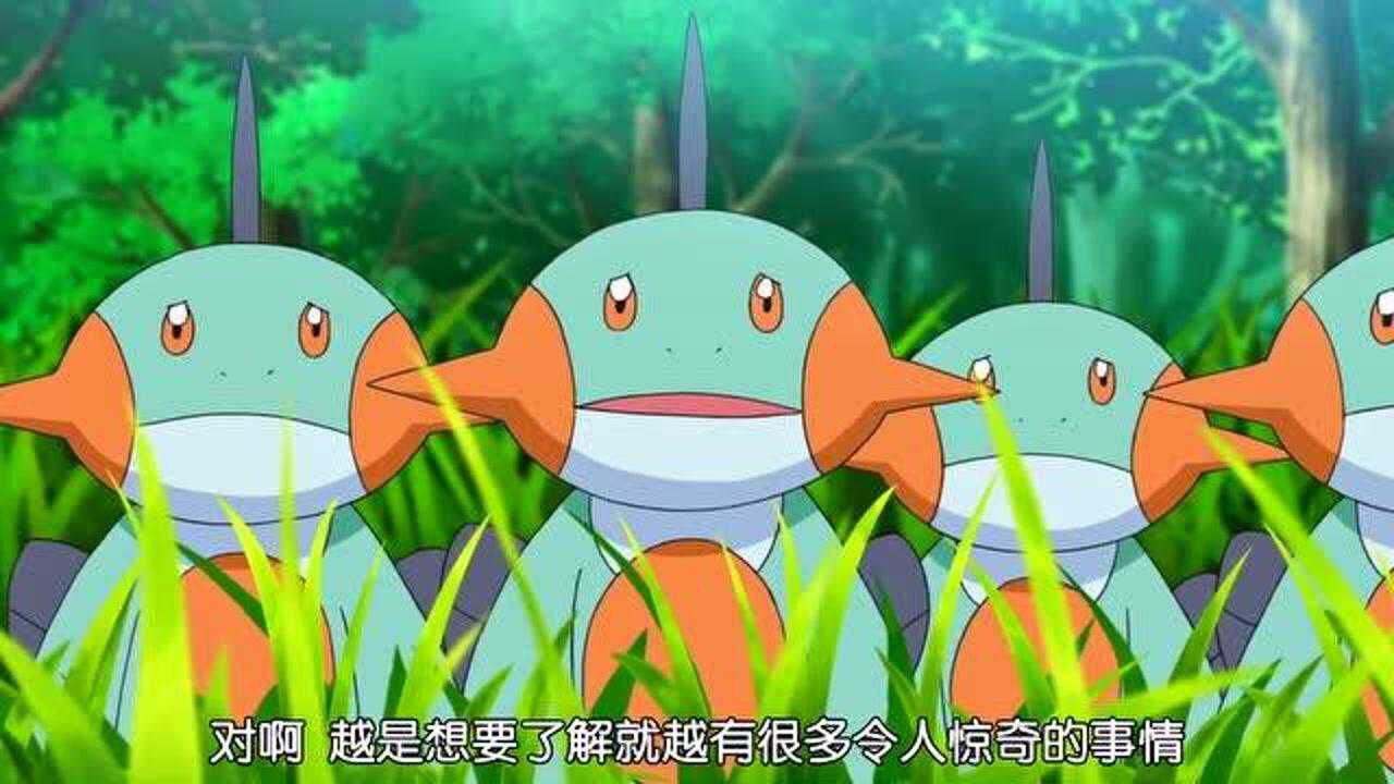 宝可梦旅途41集预告,沼跃鱼登场!网友:也是实力型宝可梦