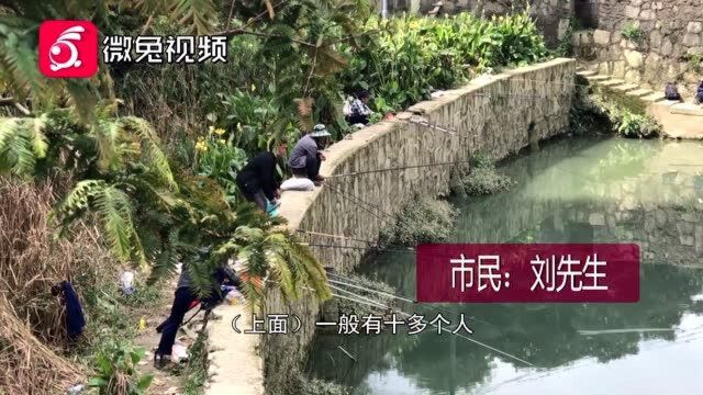 屡禁不止!贵阳一湿地公园内现40余名垂钓者