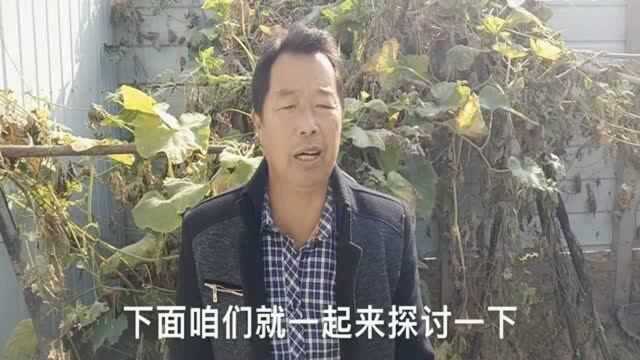 农谚“两春夹一冬,必定暖烘烘”啥意思?今年还会是冷冬吗!