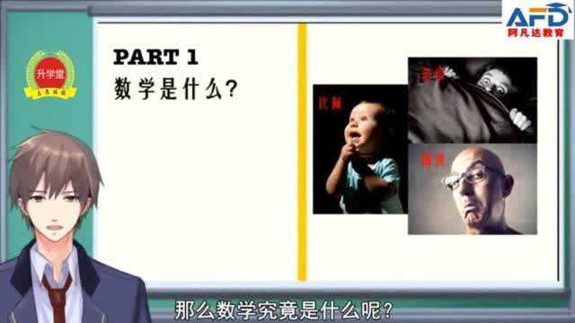 专业解析—数学