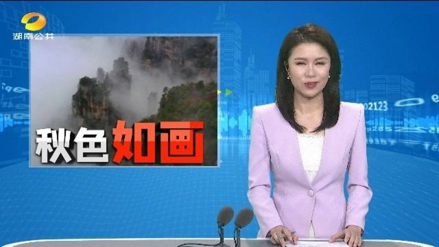 (秋色如画)张家界:多彩武陵源 浩渺天子山 蓝山:山乌桕红了 漫山染秋色