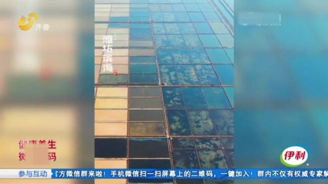 漂亮!潍坊有个大盐场 占地100平方公里 五颜六色像极“调色板”