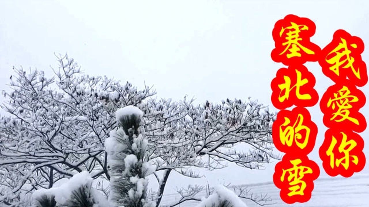 降央卓瑪我愛你塞北的雪磁性歌聲感受北國風光的壯觀畫面