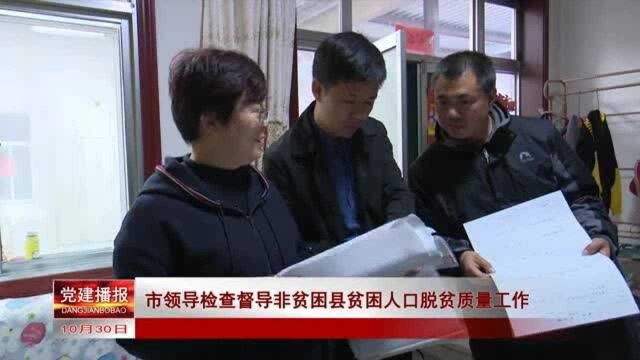 市领导检查督导非贫困县贫困人口脱贫质量工作