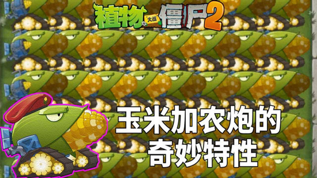 pvz2玉米加農炮的奇妙特性 學會合理密植