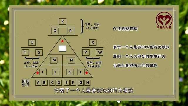 生命金字塔数字密码图图片