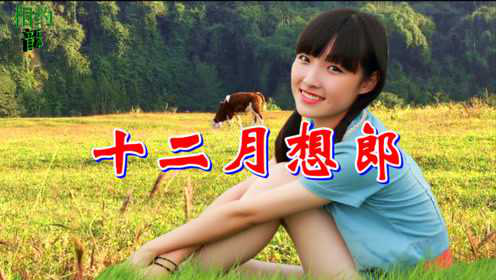 一曲民间小调《十二月想郎》,唱得情深意切,好听至极!