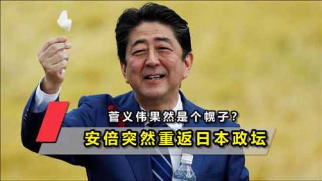 菅义伟果然是个幌子?安倍突然重返日本政坛,就任自民党重要职务