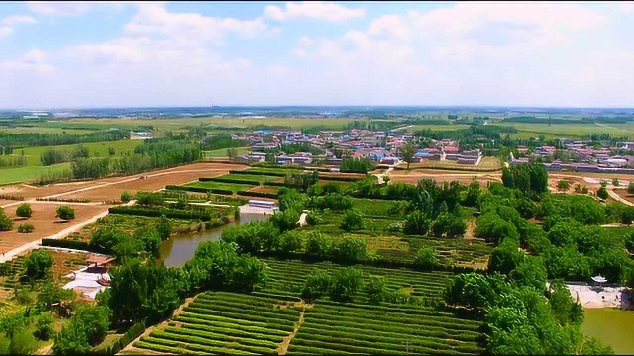 守望地名山东省济宁市汶上县白石镇夏村