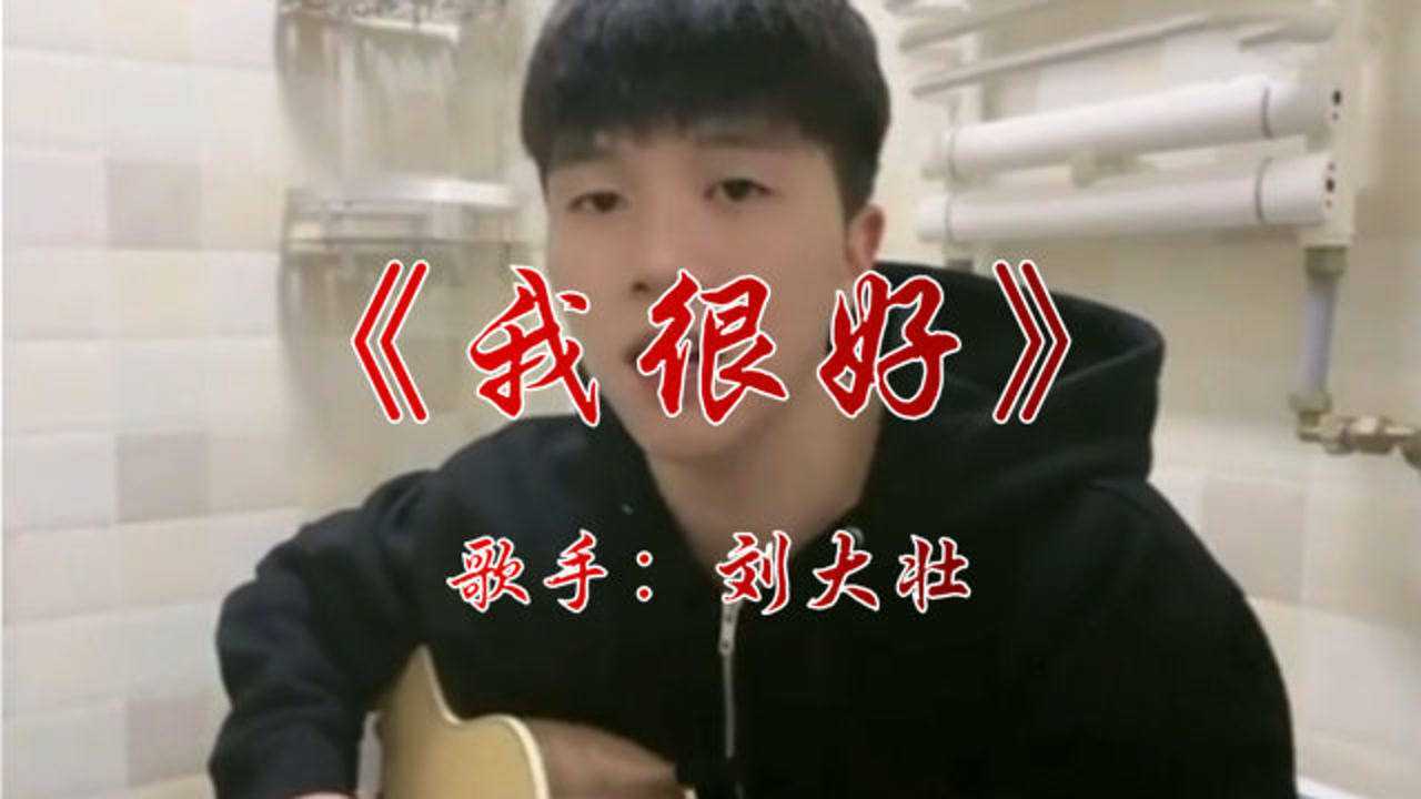 刘大壮新歌《我很好》,歌词写得太好了,抖音网红歌曲!_高清1080P在线观看平台_腾讯视频