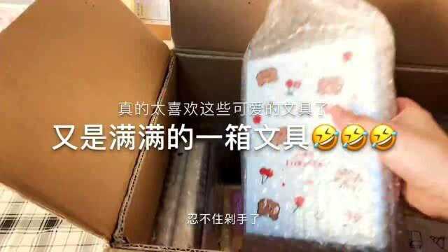 学生党文具开箱,被这箱的文具可爱晕了