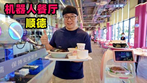 广东碧桂园机器人餐厅，科技感顺德美食，阿星吃机器炒菜煲仔饭