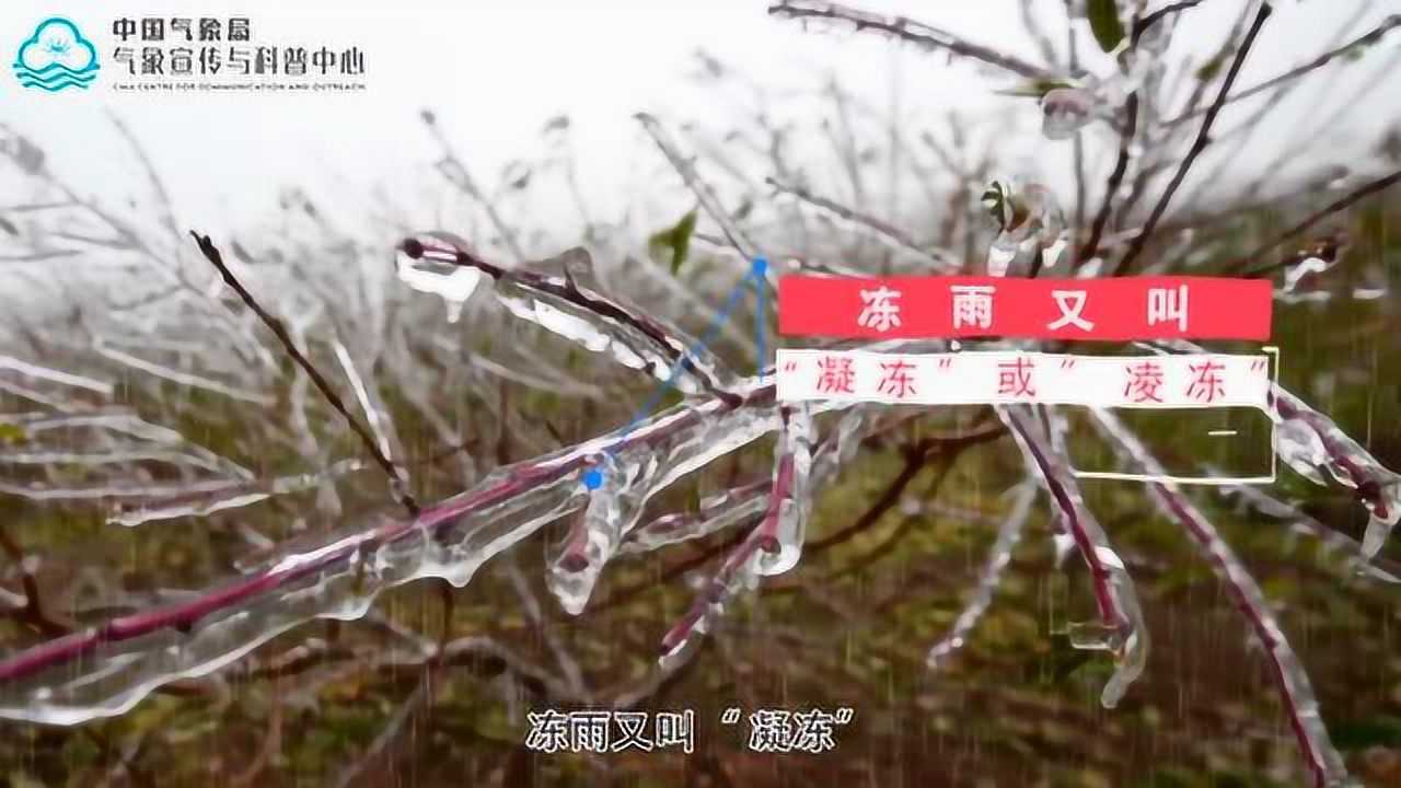 滴水成冰的冻雨是怎么回事?_腾讯视频