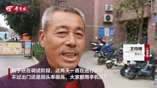 有那味了!西安一市民自制帅气拉车 安排流浪狗“上岗”