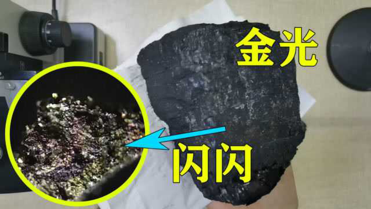 收到一块带金粉的煤炭,这能提炼黄金吗?显微镜下咱们细细看