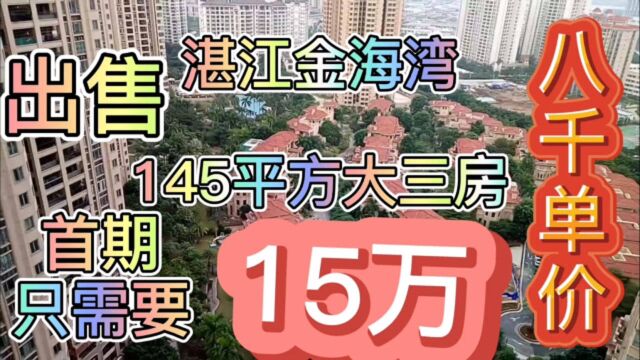 湛江市中心地段金海湾145平方大三房八千单价出售首期只需要15万