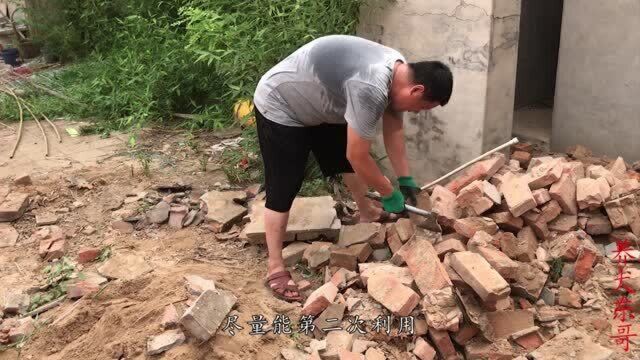 东哥在家投资建犬舍,为了犬舍早日完工,东哥亲自上手干活