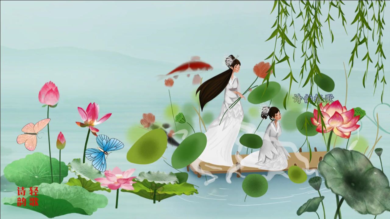 烟雨弄莲舟诗情画意唯美古风背景视频制作诗韵轻歌