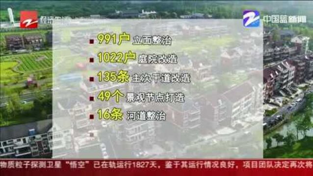 争做“头雁”靓丽西湖:三墩北农村的“美丽”建设 乡村蜕变城市后花园