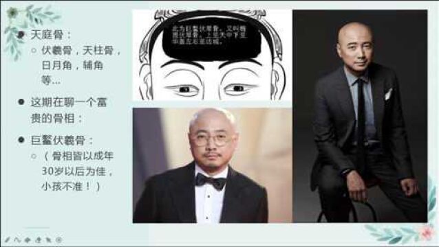 相术闲聊,富贵相之巨鳌伏羲骨