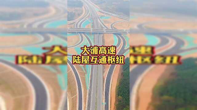 大浦高速出口规划图片