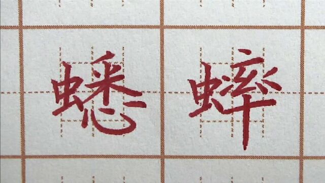 “虫”字一定要短一点?蟋蟀左小右大写,六年级楷书练字硬笔写字