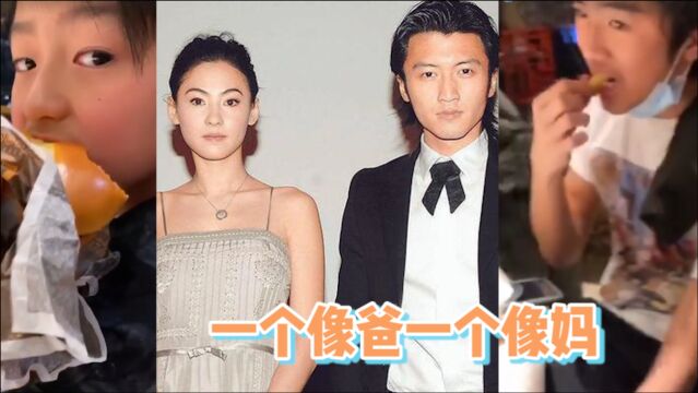 张柏芝俩儿子罕曝光,一个像爸一个像妈,13岁Lucas酷似小霆锋