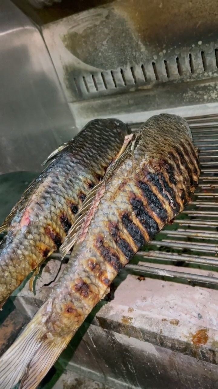 西双版纳特色活烤鲤鱼,鱼籽和鱼泡好吃到哭_腾讯视频