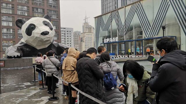 元旦各地游客打卡网红大熊猫雕塑,寒风中排队半小时只为趁张合影