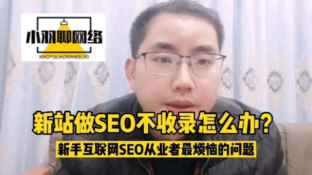 新站做SEO不收录怎么办?新手互联网SEO从业者最烦恼的问题