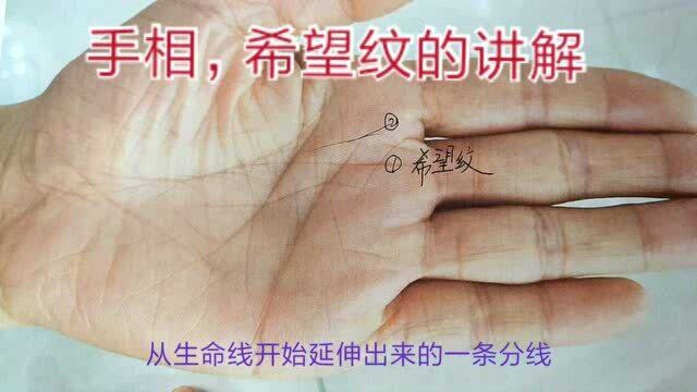 手相:希望纹的讲解!(12)