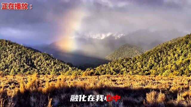 经典老歌:《又见山里红》歌曲旋律动听优美,歌词唯美别致