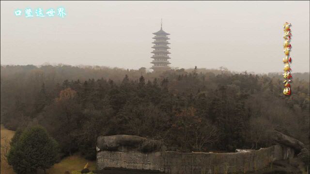 无锡宜兴的龙背山森林公园——其是沪宁杭地区最大的城区生态公园