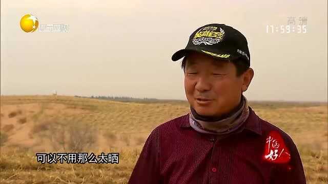 中国好人:14年间只剩下吴向荣两人,平均每人每年一万株树!